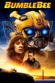 Bumblebee 6